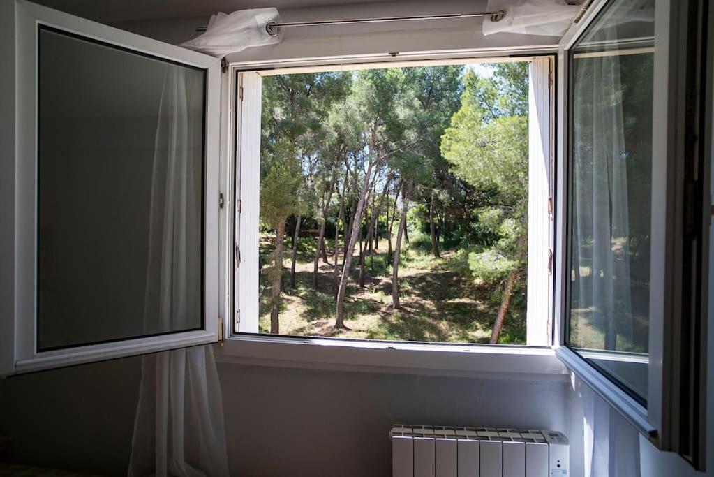 Appartement Superb T4 Souplex In Giens