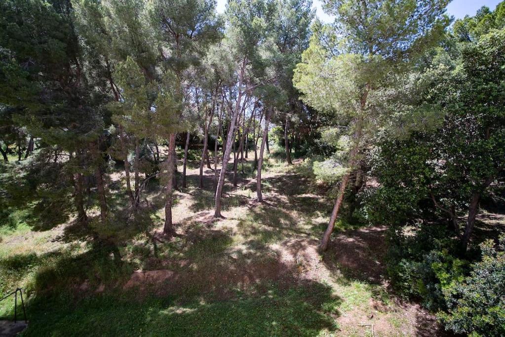 Superb T4 Souplex In Giens Apartment Hyeres